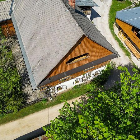 House, Garden And A Green Cat 블레드 외부 사진