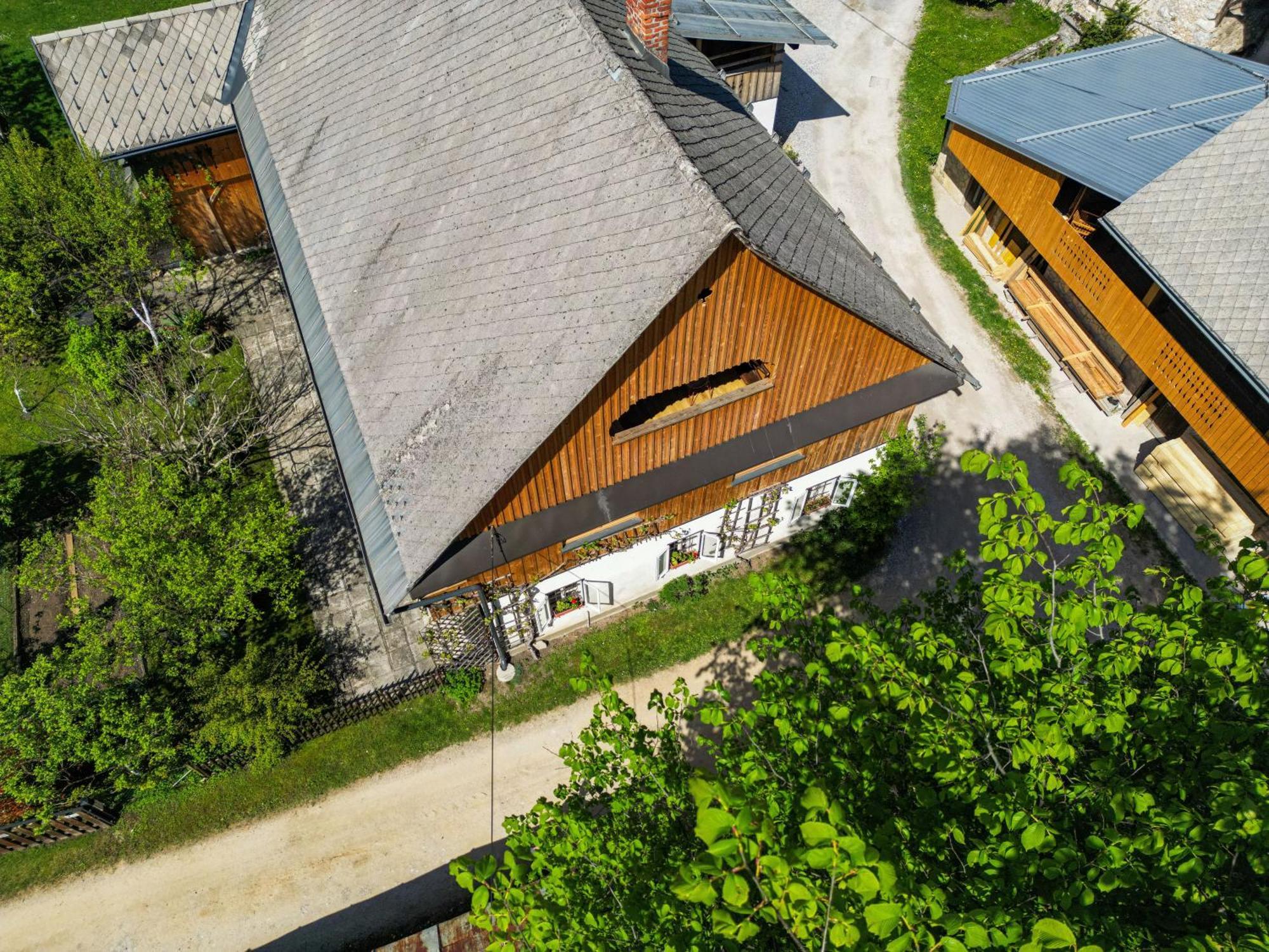 House, Garden And A Green Cat 블레드 외부 사진