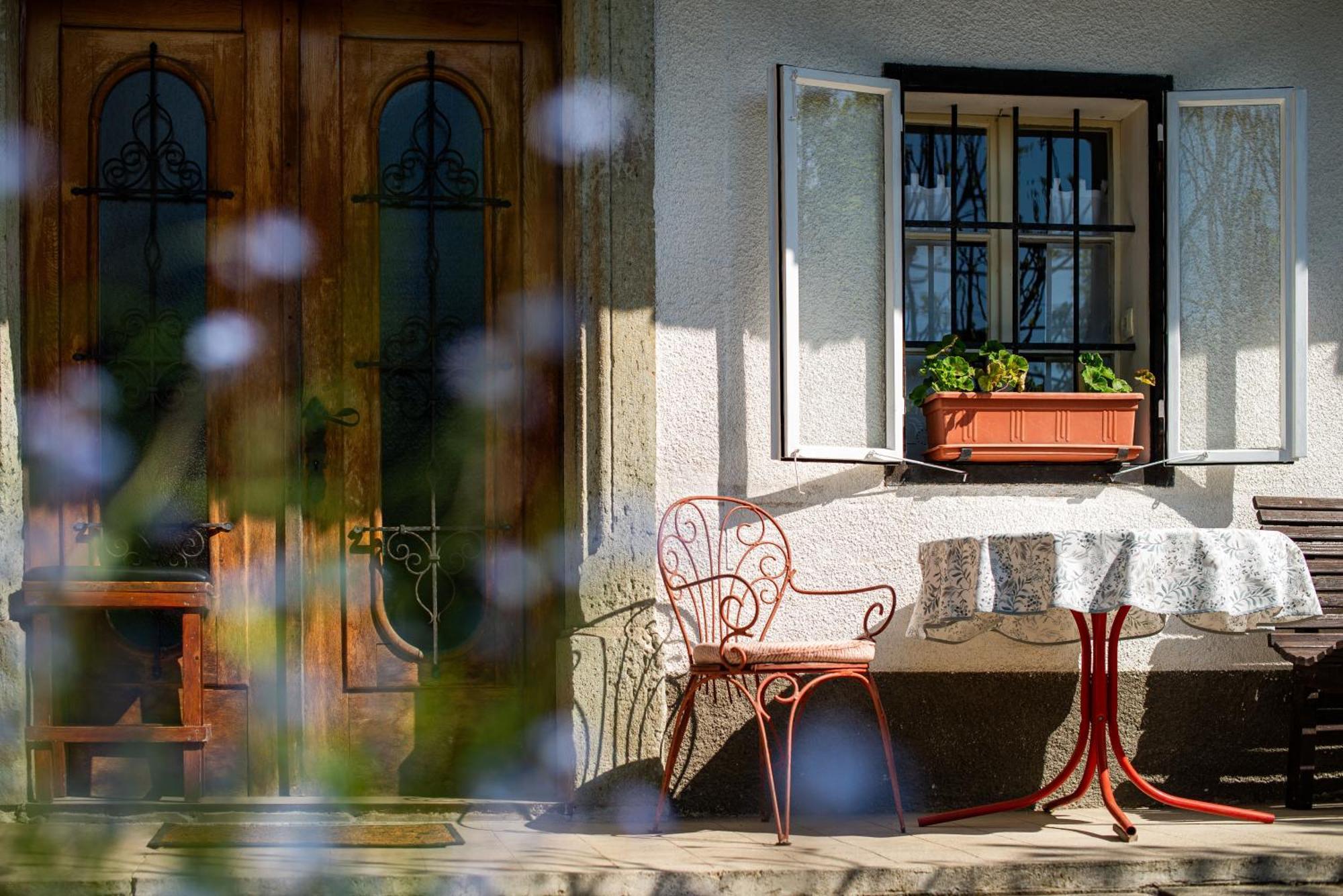 House, Garden And A Green Cat 블레드 외부 사진