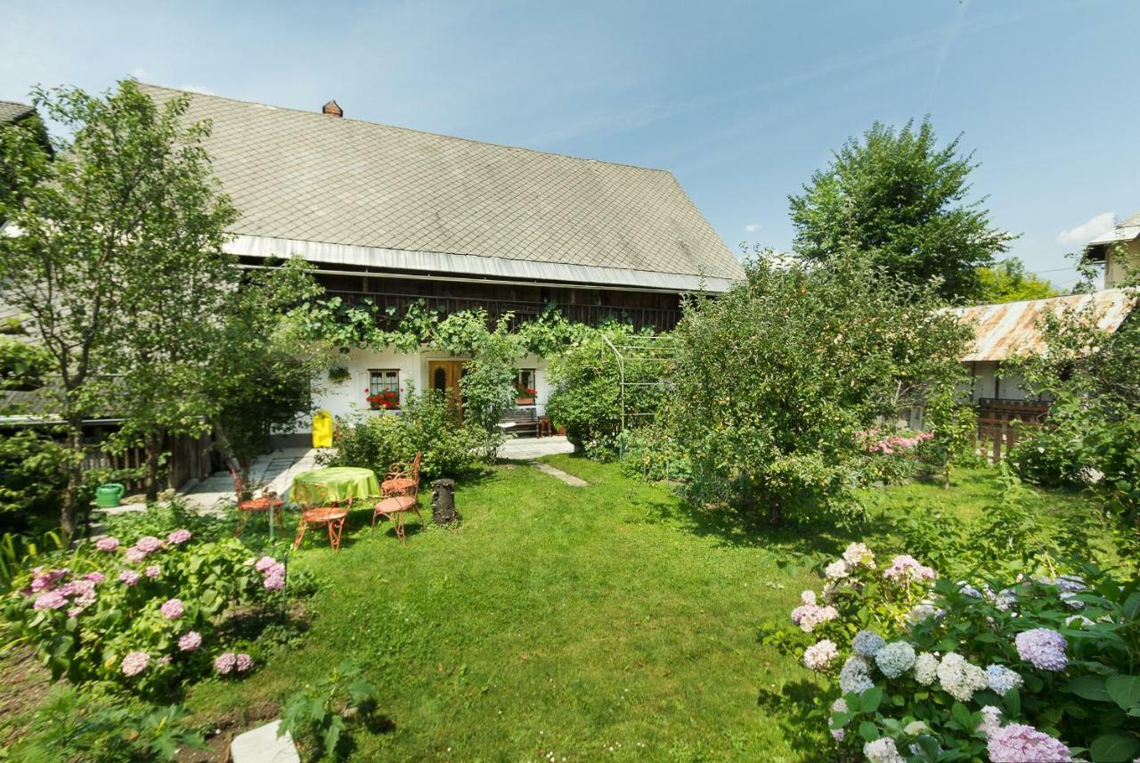 House, Garden And A Green Cat 블레드 외부 사진